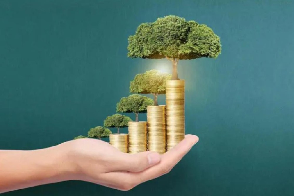 民间个人短借·深圳24小时私人借钱 空放直达 当天放款